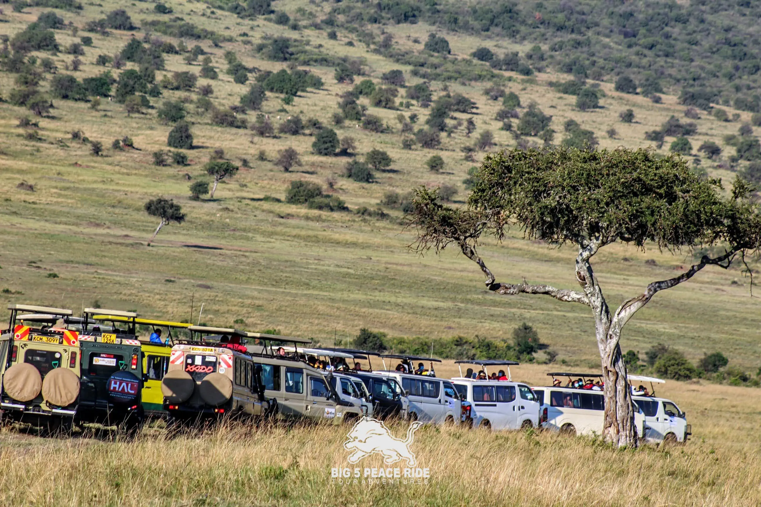 Maasai Mara National Reserve